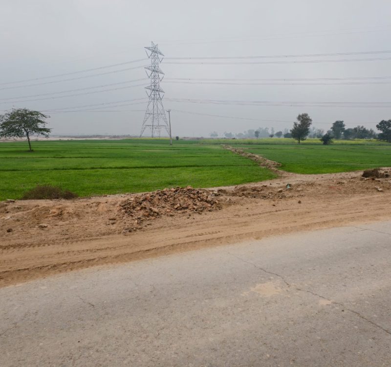 WhatsApp Image 2026-02-04 at 2.08.32 PM