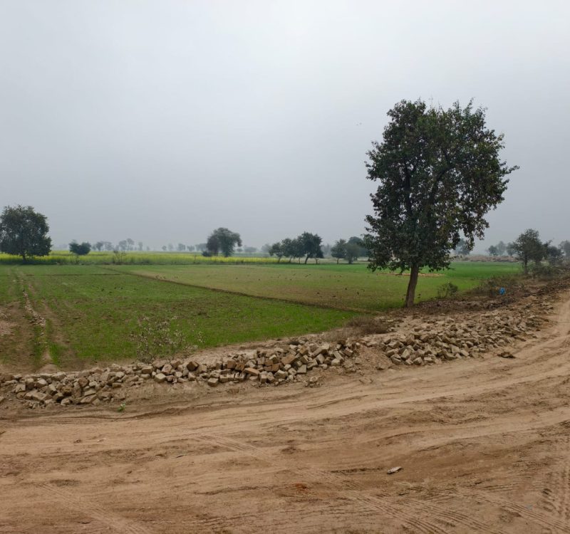 WhatsApp Image 2026-02-04 at 2.08.34 PM